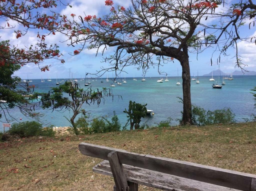 Holidays In Martinique - Ravenala Sainte-Anne Exterior foto